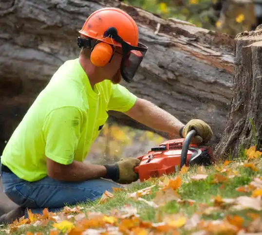 tree services Woodstown